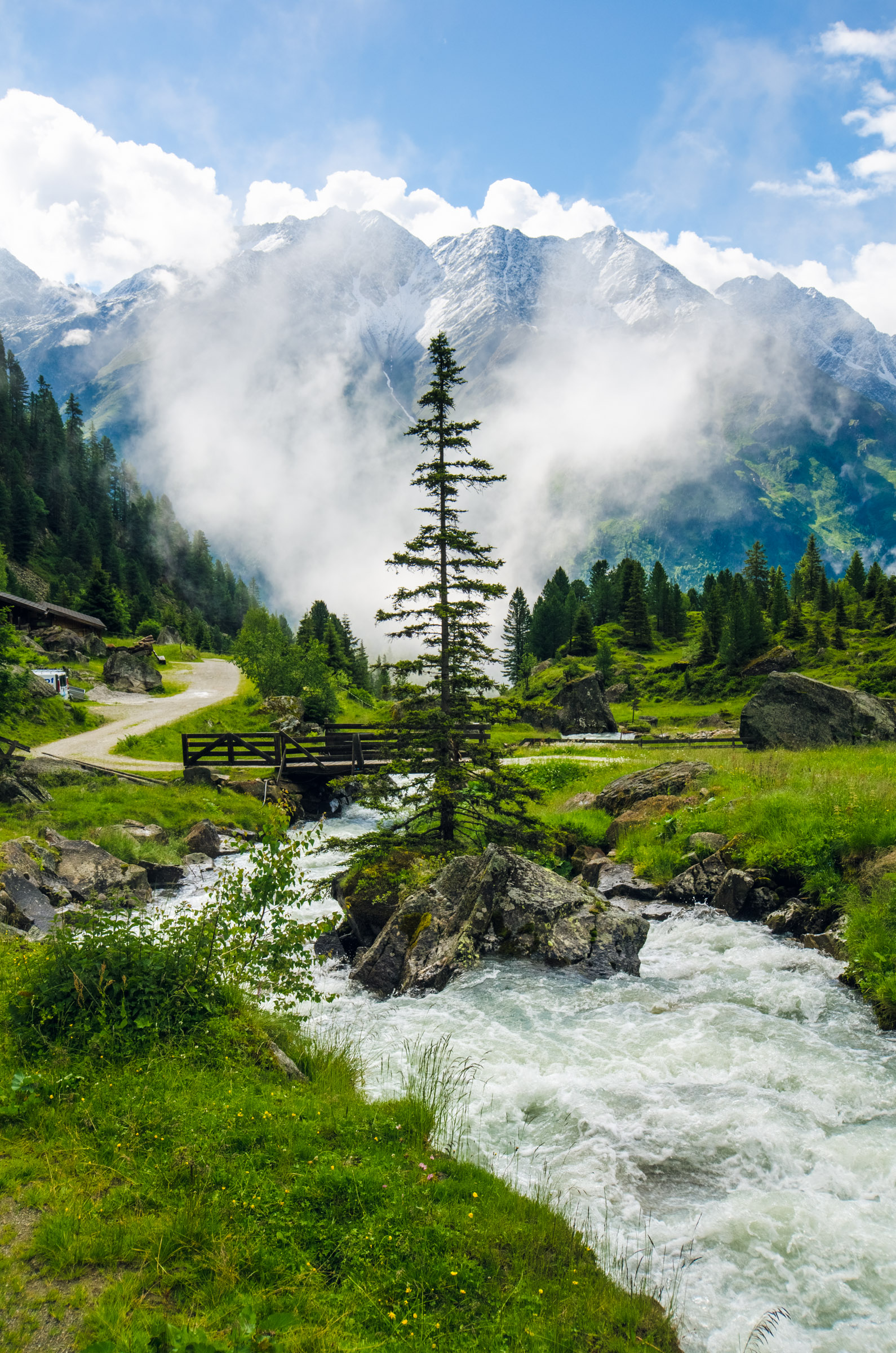 Lone tree in Stubai