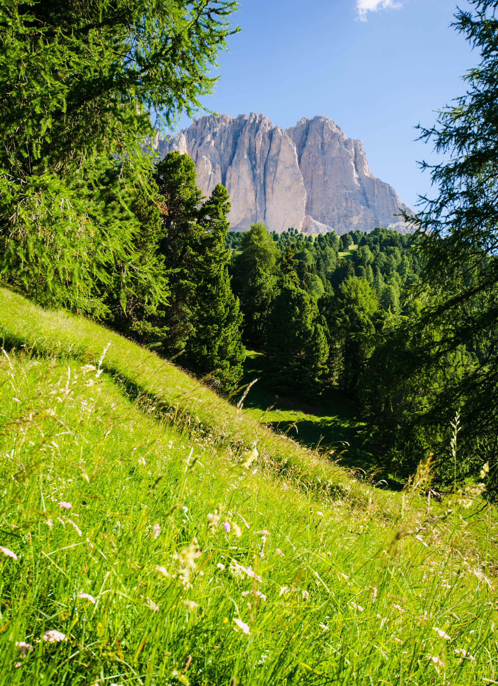 The steep path up to Sassopiatto