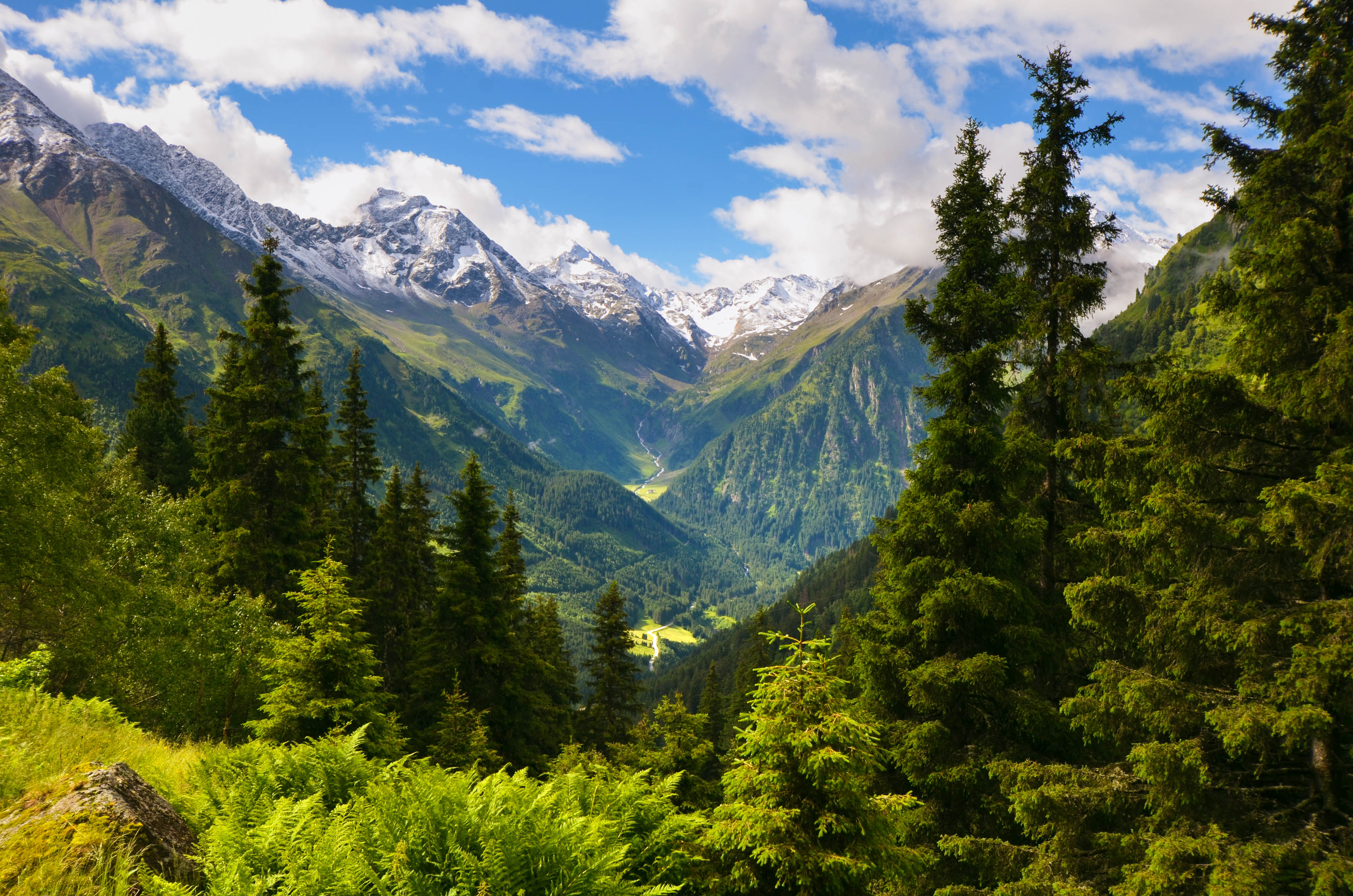 Looking towards the Stubai Glacier