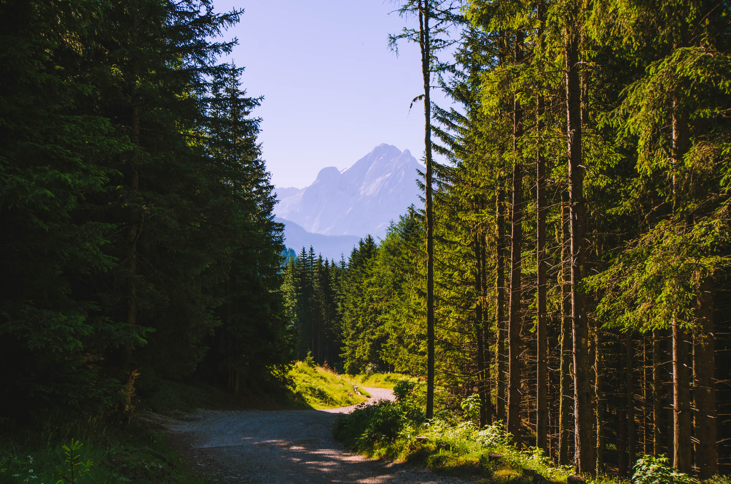 Mountains through the trees in Val Duron