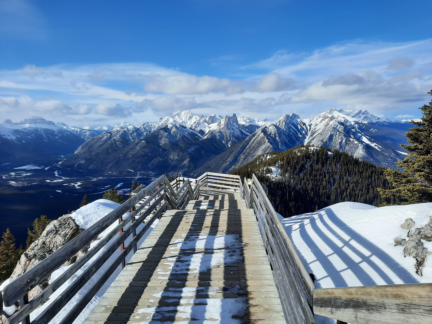 View from top of Banff gondola