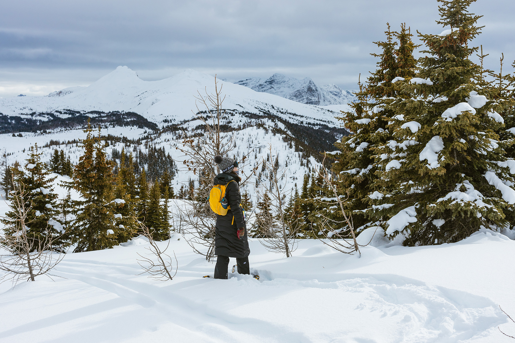 Snowshoeing in Banff