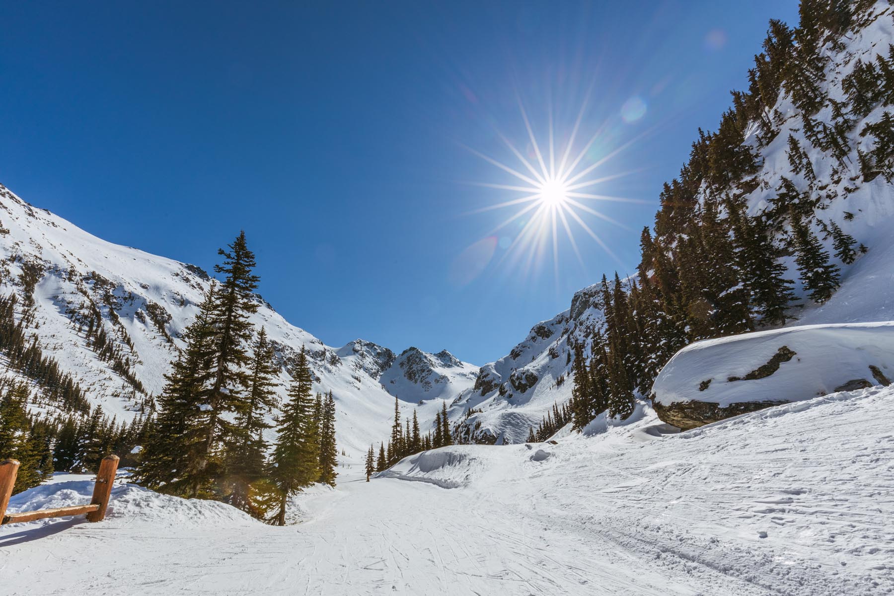 Glacier Road trail on Blackcomb