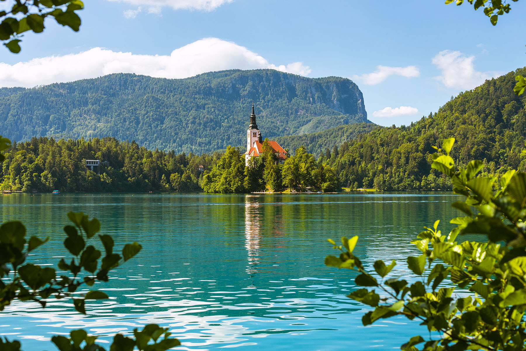 Bled Island