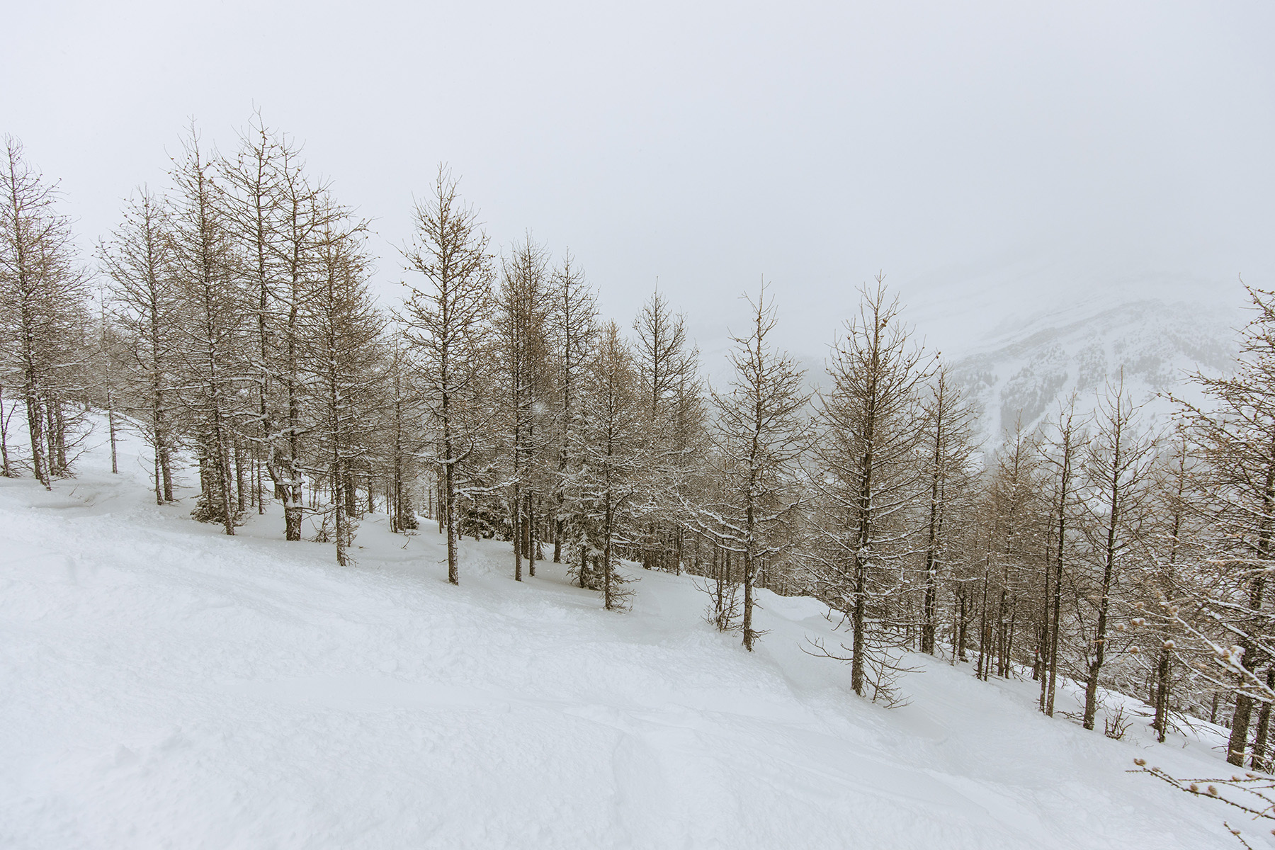 Glades at Lake Louise