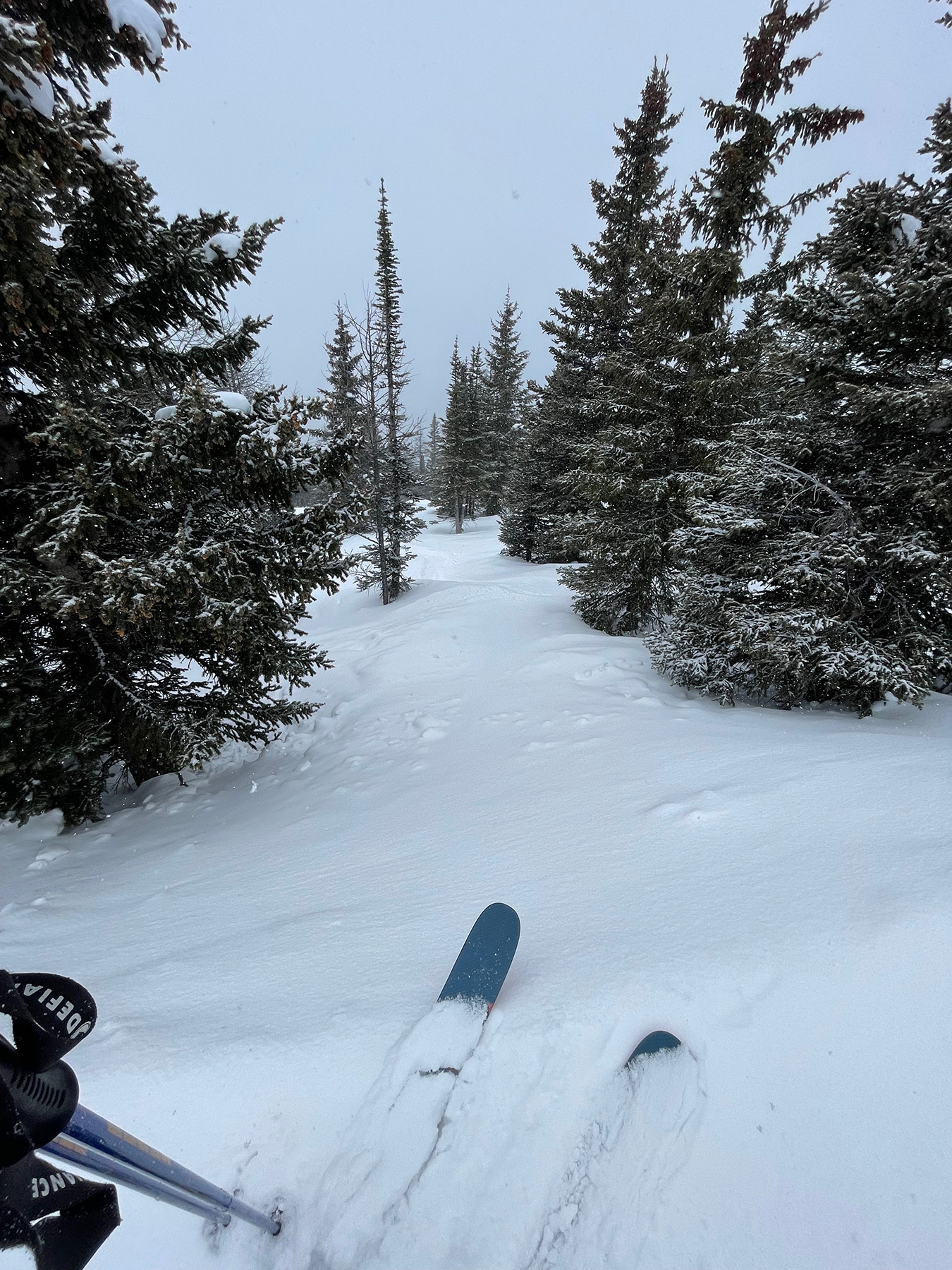 Glades at sunshine