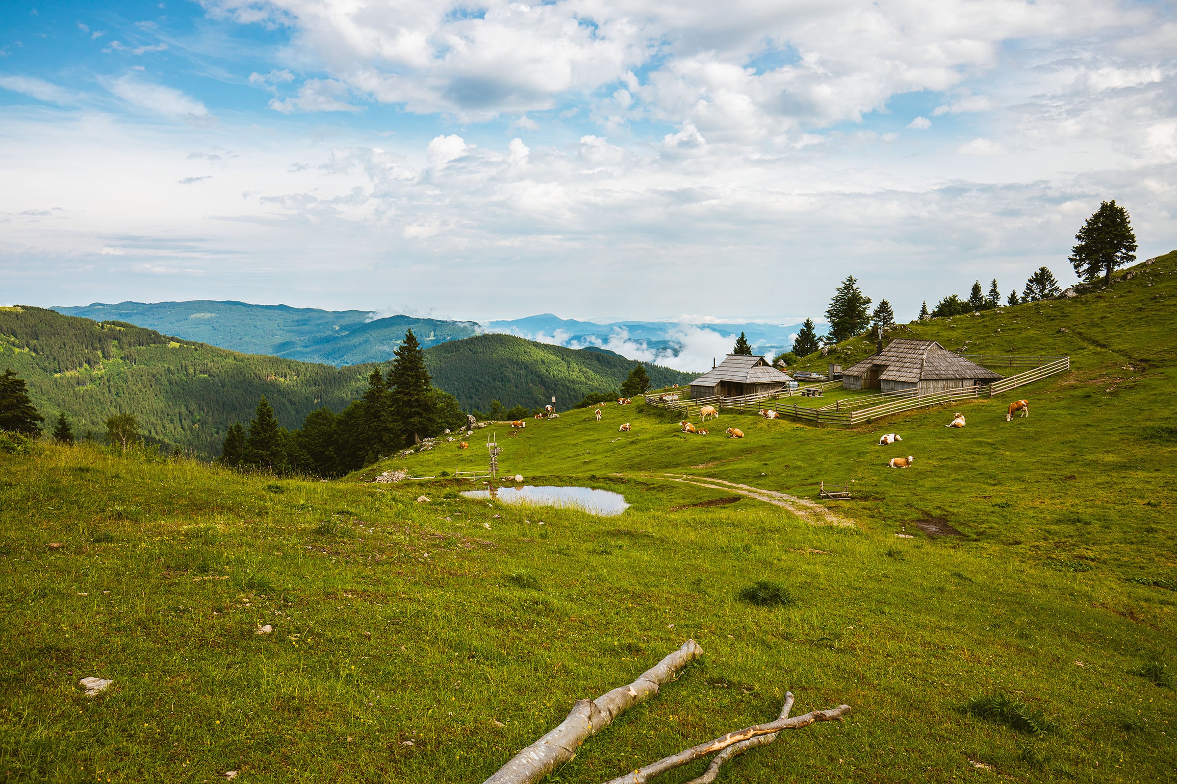 Velika Planina