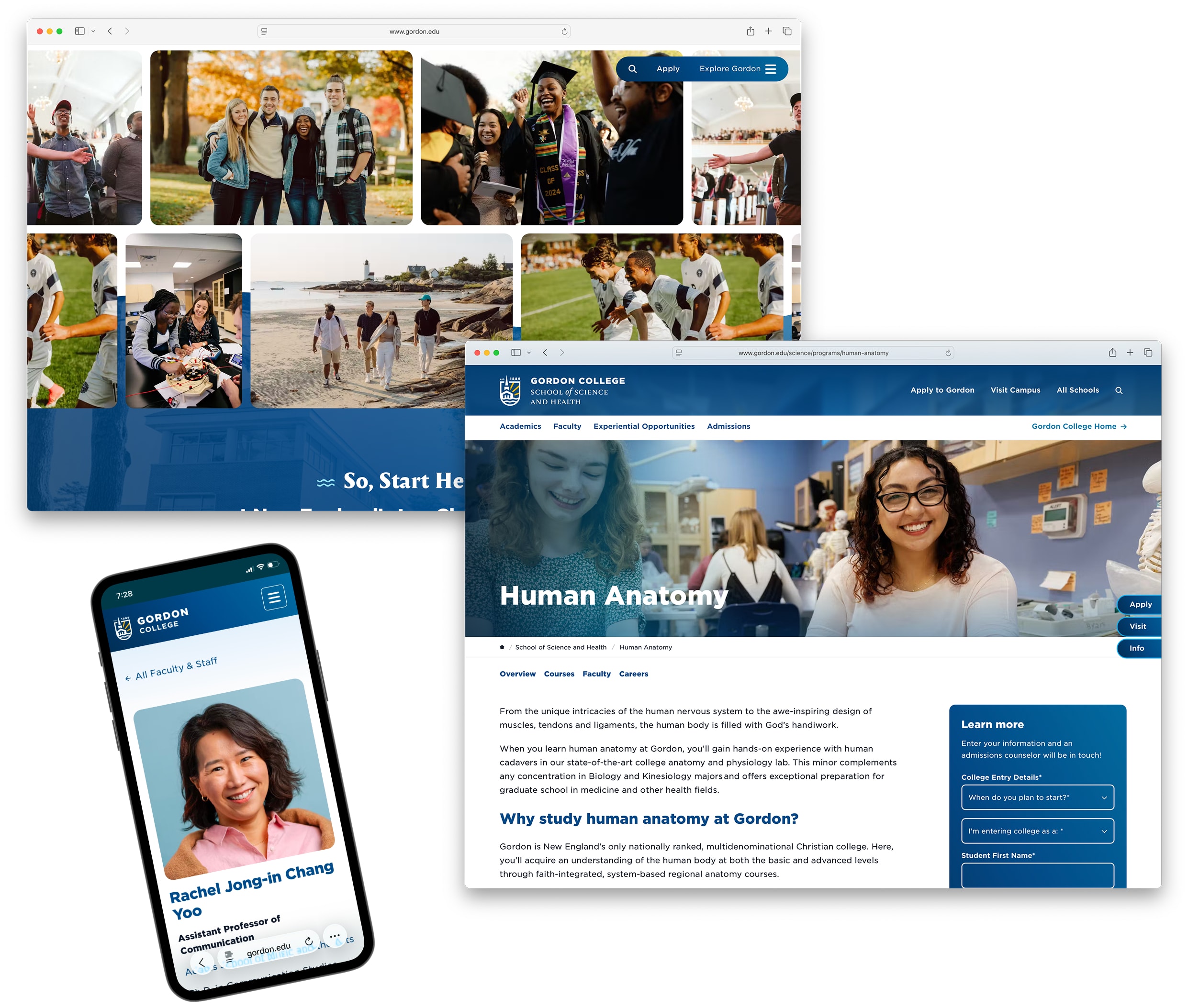 Overlapping screenshots of web elements