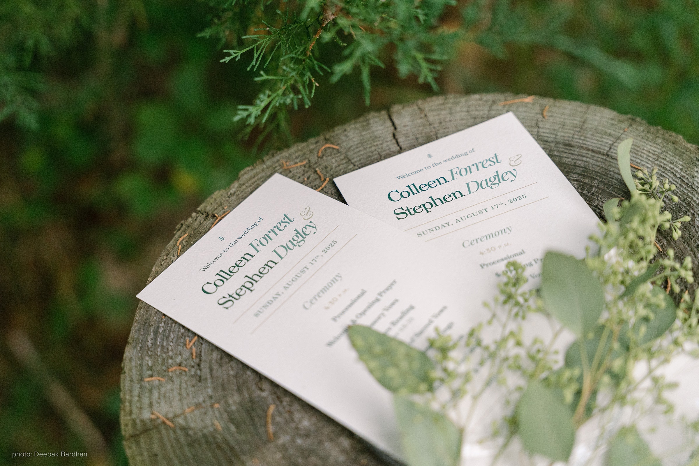 Wedding programs arranged on a wooden stump surrounded by plants